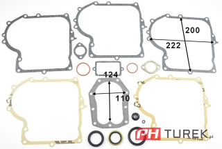 Uszczeleki briggs stratton 10-13km 490525 494241