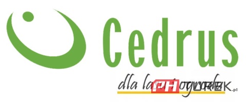 Kosiarka indukcyjna elektryczna Cedrus 42cm 1800w