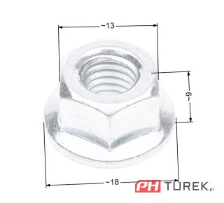Nakrętka NAC M8x1,25 klucz 13 mocowania prowadnicy pilarki marketowe