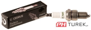 Świeca zapłonowa Cedrus F6RTC Honda GC135 GC160 GC190 GP160 GP200 GS160 iGX