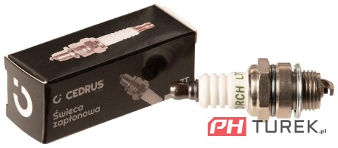 Świeca zapłonowa Cedrus L7T do pilarek BPM76A