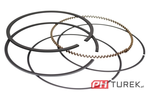 pierścienie 130070083-T110