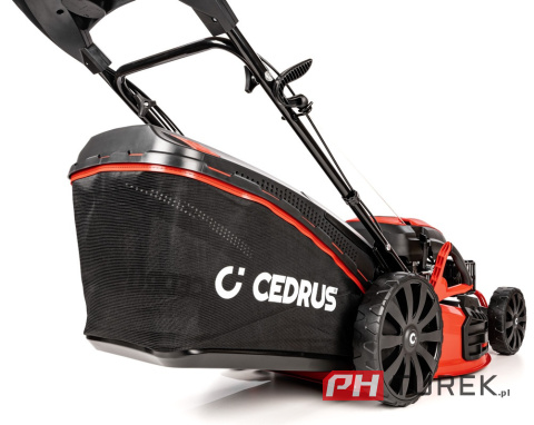 Kosiarka spalinowa Cedrus KS53S z napędem Y196V 196cm3 25-75 mm 2000 m2