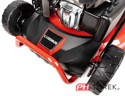 Kosiarka spalinowa Cedrus KS53S z napędem Y196V 196cm3 25-75 mm 2000 m2