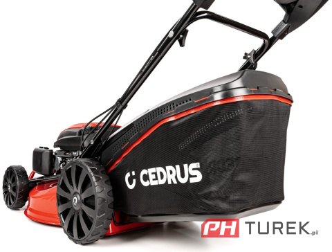 Kosiarka spalinowa Cedrus KS53S z napędem Y196V 196cm3 25-75 mm 2000 m2