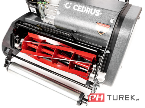 Kosiarka wrzecionowa Cedrus CEDSM42 4,1kW 54l 196cm3 Loncin G200F z napędem