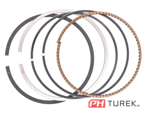 pierścienie do tłoka 130030266-0001