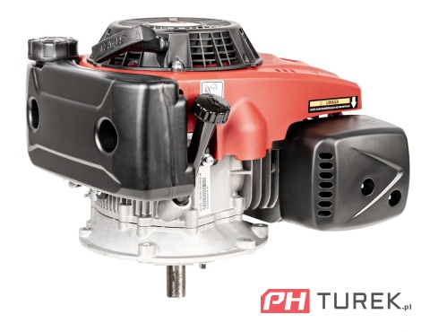 Silnik Loncin LC1P75F-F wał pionowy 22,2 mm / 80 mm 6,12 KM 224 cm3 OHV