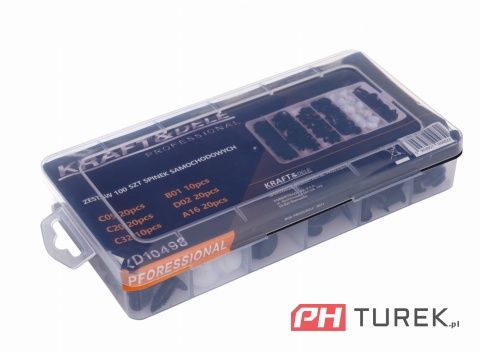 Spinki i klipsy mocujące do tapicerki samochodowe kołki 100szt. KD10498