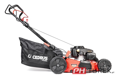 Kosiarka Cedrus Premium z napędem CEDLP53S-L silnik LONCIN 1P75F stalowa