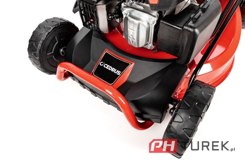 Kosiarka spalinowa Cedrus CEDKS53SV-E z napędem elektryczny rozruch e-start