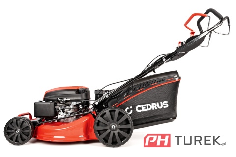 Kosiarka spalinowa Cedrus CEDKS53SV-E z napędem elektryczny rozruch e-start