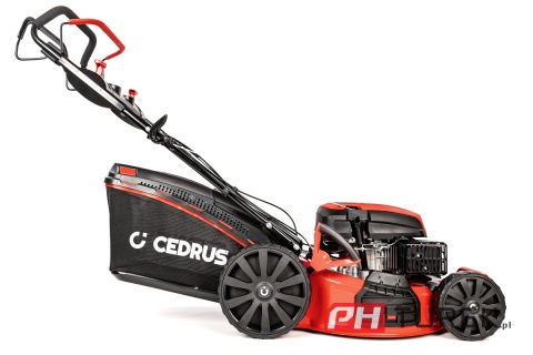 Kosiarka spalinowa z napędem Cedrus 56cm y196v 3w1 196 cm3 65l 25-75 mm