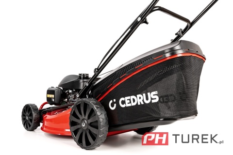 Kosiarka spalinowa Cedrus KS53S-H z napędem renomowany silnik HONDA GCV200