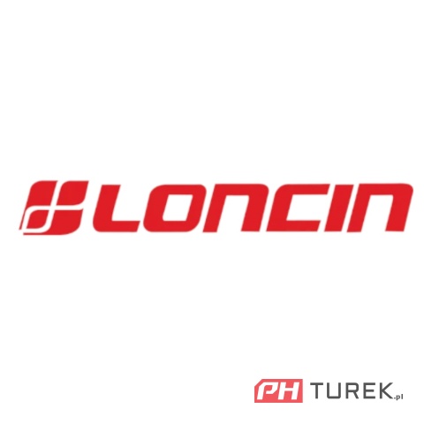 Świeca zapłonowa Loncin LC1P65FA 1P65FE WB506HC WB455HC CZĘŚĆ ORYGINALNA