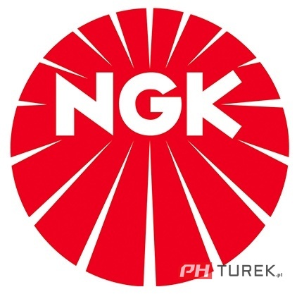 Świeca zapłonowa NGK BR2LM do kosiarek(rezys) 802 592, RJ 19 LMC