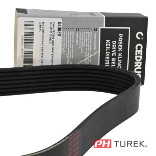 Pasek napędu glebogryzarki jazdy w przód cedrus GLX-GT65 24mmx621mm