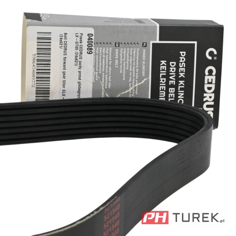 Pasek napędu glebogryzarki jazdy w przód cedrus GLX-GT65 24mmx621mm