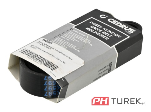 Pasek napędu glebogryzarki jazdy w przód cedrus GLX-GT65 24mmx621mm