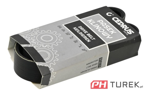 Pasek napędu glebogryzarki jazdy w przód cedrus GLX-GT65 24mmx621mm