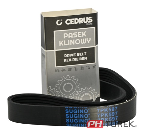 Pasek napędu glebogryzarki jazdy w przód cedrus GLX-GT65 24mmx621mm