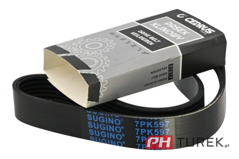 Pasek napędu glebogryzarki jazdy w przód cedrus GLX-GT65 24mmx621mm