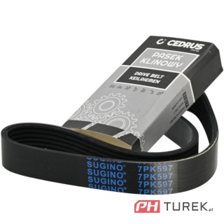 Pasek napędu glebogryzarki jazdy w przód cedrus GLX-GT65 24mmx621mm