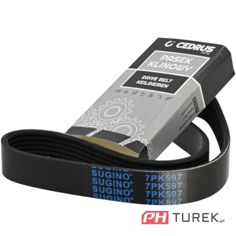 Pasek napędu glebogryzarki jazdy w przód cedrus GLX-GT65 24mmx621mm