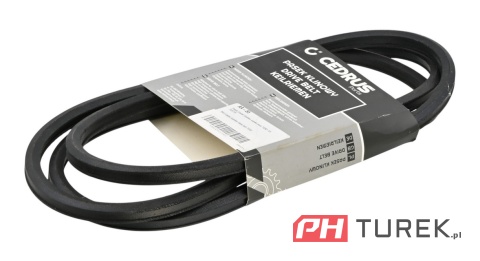 Pasek napędu noży kosiarka Castel Garden TC92 MT585 MT545 HF2113 12,7x2213