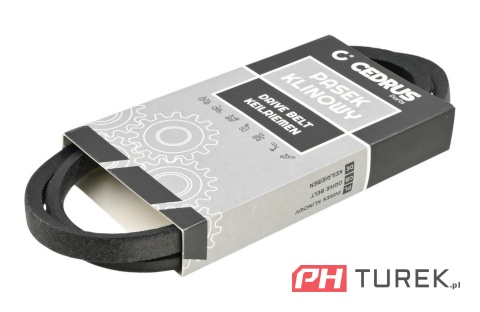 Pasek klinowy NAC W510V X510VH S510VHY 10x825 Li 787mm Ld 825mm La 825mm