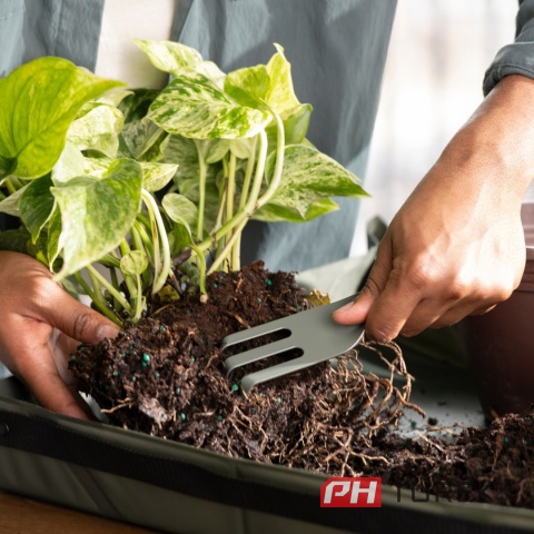 Zestaw metalowych narzędzi do sadzenia roślin Fiskars Plant Care 5 sztuk