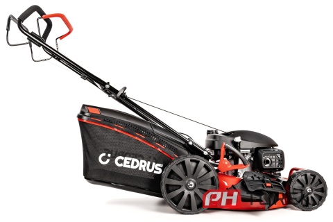 Kosiarka spalinowa Cedrus silnik Honda GCV200 200 cm³ 51 cm napęd 5,3 KM