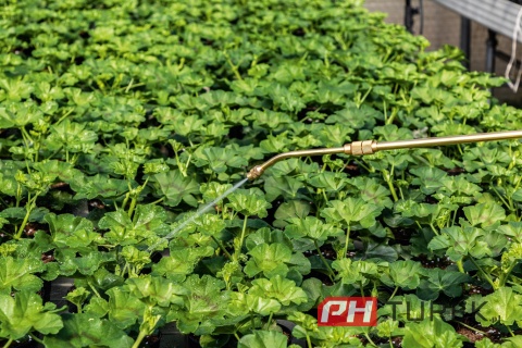Opryskiwacz ciśnieniowy 5l Cellfast ogrodowy z lancą do zraszania
