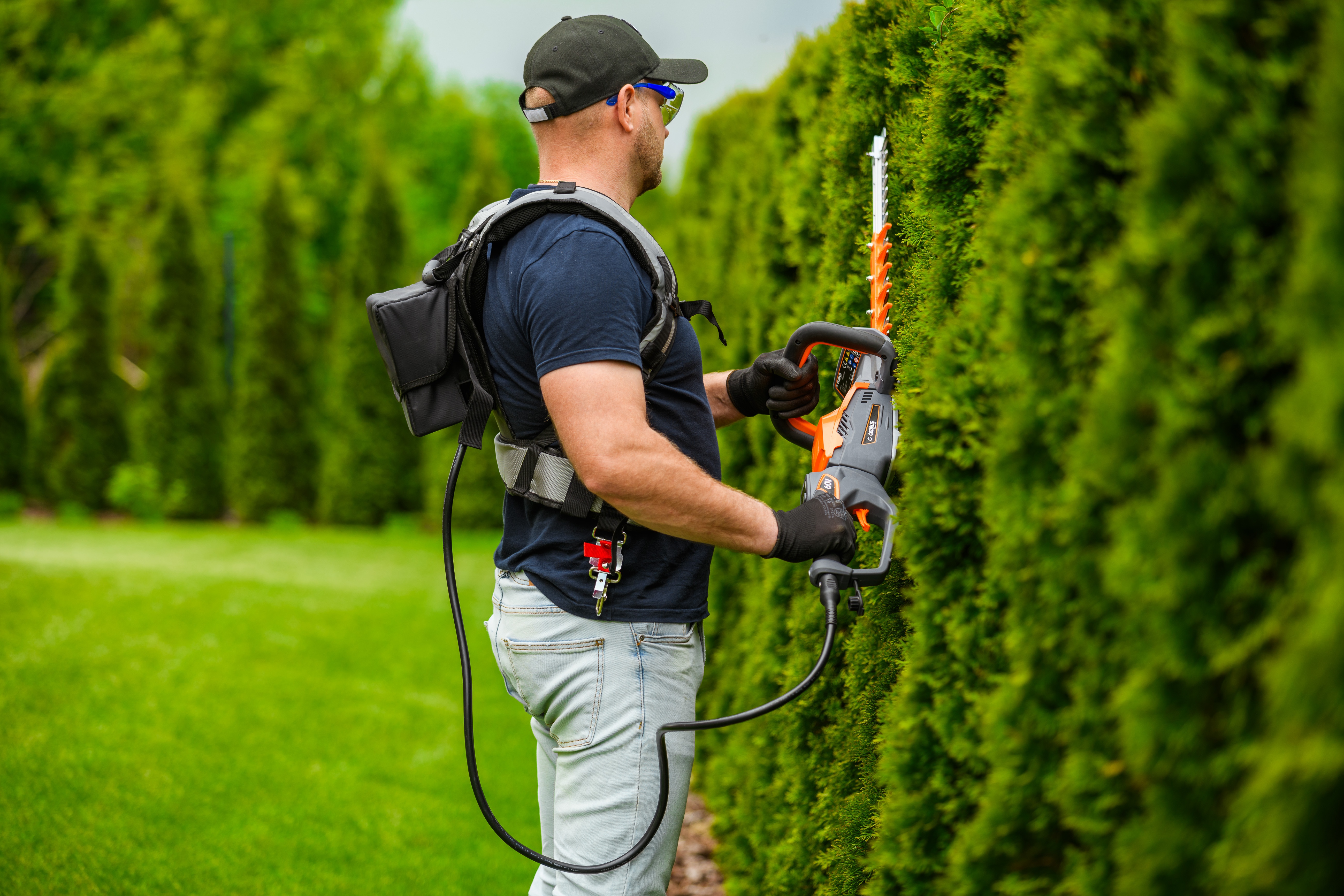 Jakie nożyce do żywopłotu wybrać?